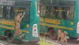 Leopard Jumps Onto Bus Window At Bannerghatta National Park Stuns Safari-Goers