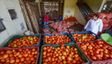 Tamil Nadu: Why Have Tomatoes Become Cheaper Now?