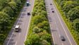 11 States to Get 'Arogya Van' Along National Highways: NHAI to Plant 67,000 Trees Covering in Phase 1