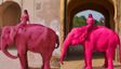 PETA India Urges Photographer to Withdraw ‘Pink Elephant’ Print After Controversy