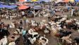 Bengaluru Traffic Advisory for Bakrid: Check Restrictions, List of Routes to Avoid