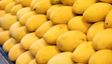 Pune Woman Files Domestic Abuse Case Against Husband After A Dispute Over Mangoes Payment