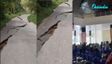 Three Nations, Three Earthquakes: Powerful Tremors Leave Trail Of Damage Across Asia, What's Behind?