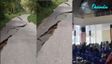 Roads Crack, School Roofs Collapse: Watch Scary Visuals Captured During Indonesia's 6.7-Magnitude Earthquake