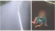 Heart-Stopping Moment In Kerala: Driver Spots Baby Crawling On Road In Malappuram