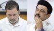 DMK Steps Up Attack on Rahul Gandhi, Accuses Congress Leader of Hurting Opposition Unity