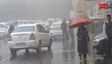 Himachal on Edge as Monsoon Wreaks Havoc: 46 Roads Shut, Power Grid Hit
