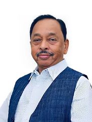 Narayan Rane