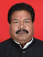 વજેસિંગભાઈ પારસિંગભાઈ પણદા