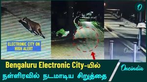 Bengaluru Electronic City யில் நள்ளிரவில் நடமாடிய சிறுத்தை...பீதியில் உறைந்த மக்கள்