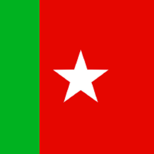  SDPI