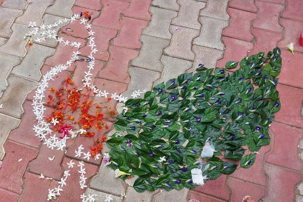 ରାଜ୍ୟରେ ଅହିଂସା ରଥକୁ ମିଳୁଛି ସମର୍ଥନ