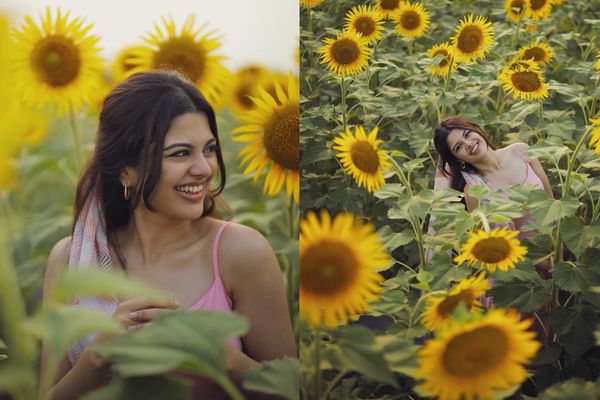 சூரியகாந்தி பூக்கள் நடுவில் மின்னும் லப்பர் பந்து நாயகி.. ட்ரெண்டாகும் புகைப்படங்கள்!