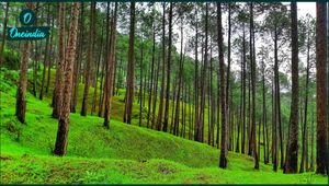 এই গরমে ঘুরে আসুন এই জায়গাগুলিতে
