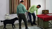 'উড়িয়ে দেওয়া হবে, RDX রাখা', কলকাতা-সহ বহু জেলার আদালতে ইমেল, ঘটনা কী? শোরগোল বাংলায়