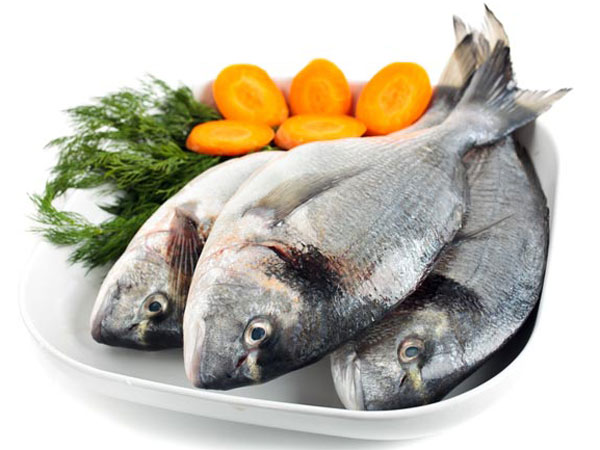 বন্দুকের নিশানায় রেখে মাছ লুঠ, কারণ অবশ্য মূল্যবৃদ্ধি নয় ! বন্দুকের নিশানায় রেখে মাছ লুঠ, কারণ অবশ্য মূল্যবৃদ্ধি নয় !