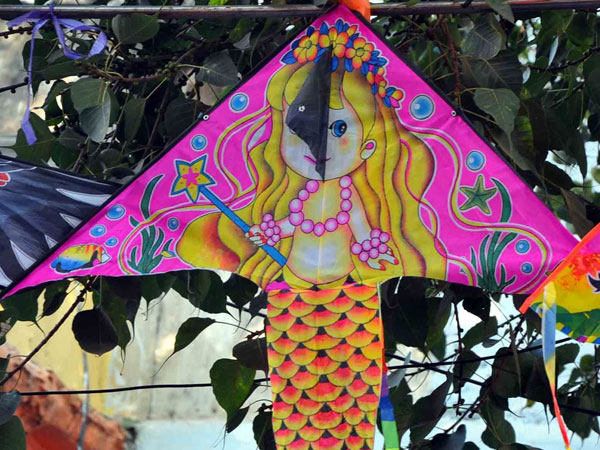 হায়দ্রাবাদে হায়দ্রাবাদে