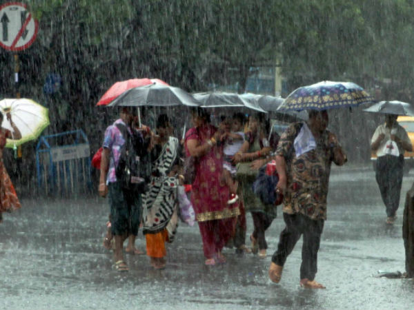 বসন্তের 'বৃষ্টি'! বসন্তের 'বৃষ্টি'!