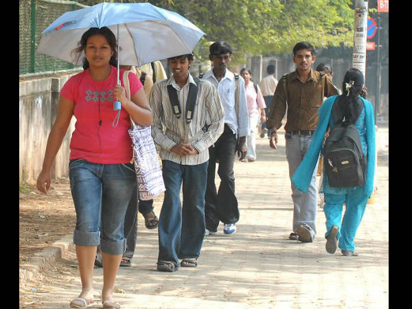 জিন্স জিন্স