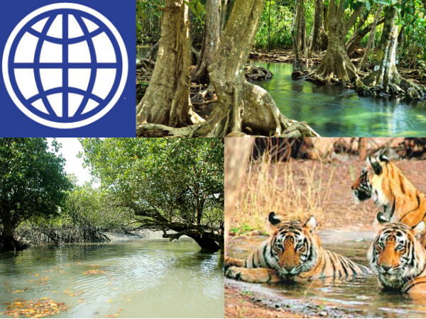 জঙ্গিহানা ঠেকাতে সুন্দরবনকে কড়া নিরাপত্তার চাদরে মুড়ছে রাজ্য সরকার জঙ্গিহানা ঠেকাতে সুন্দরবনকে কড়া নিরাপত্তার চাদরে মুড়ছে রাজ্য সরকার