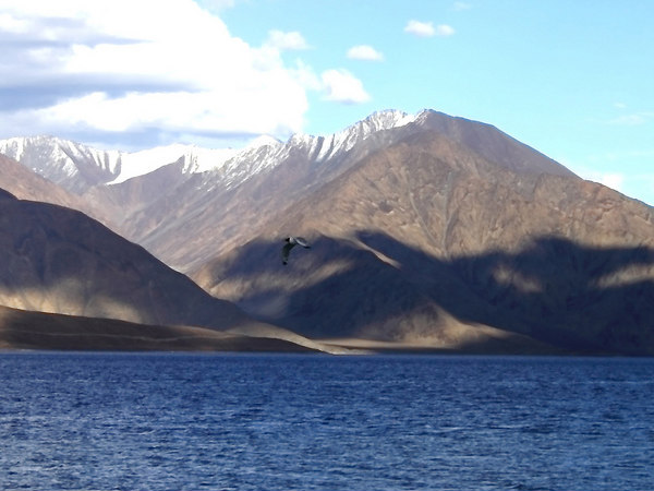 স্পান্গনিক