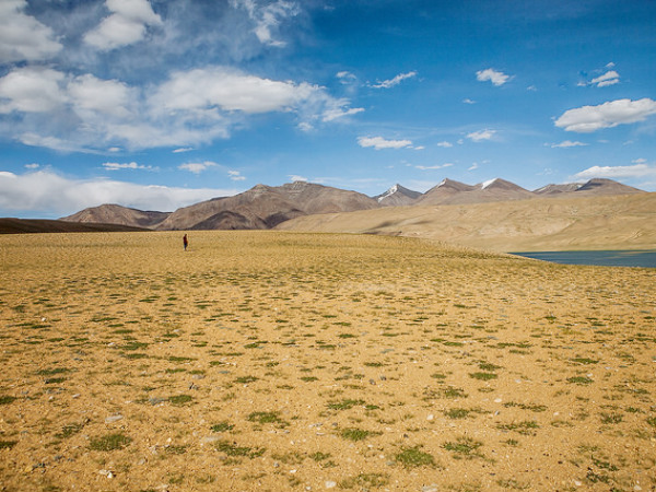 সো ক্যোগার