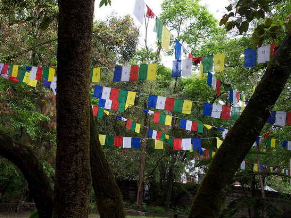 নোরবুলিঙ্গকা ইন্সটিটিউট নোরবুলিঙ্গকা ইন্সটিটিউট