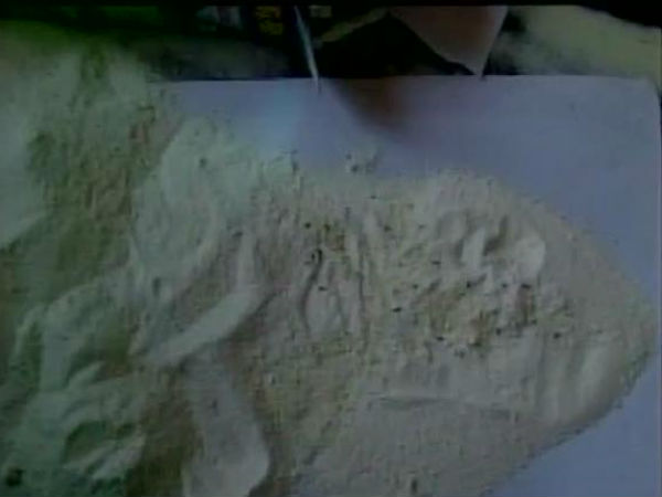 পোকা পোকা