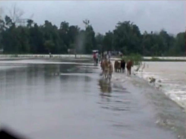 বন্যা পরিস্থিতি বন্যা পরিস্থিতি