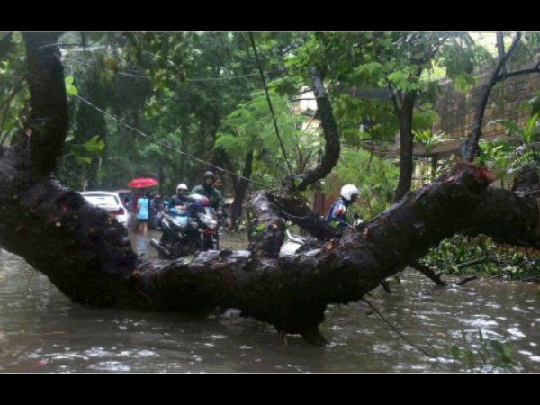 জলমগ্ন মুম্বই