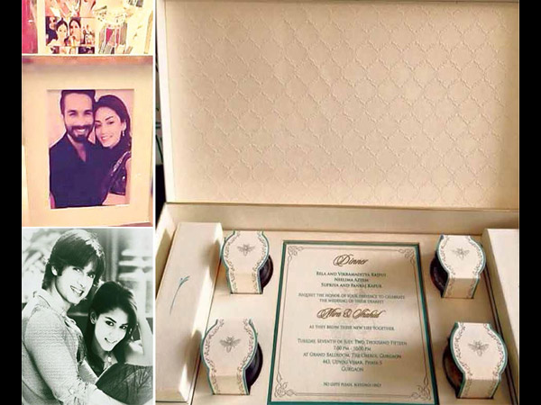 শাহিদ কাপুর-মীরা রাজপুত