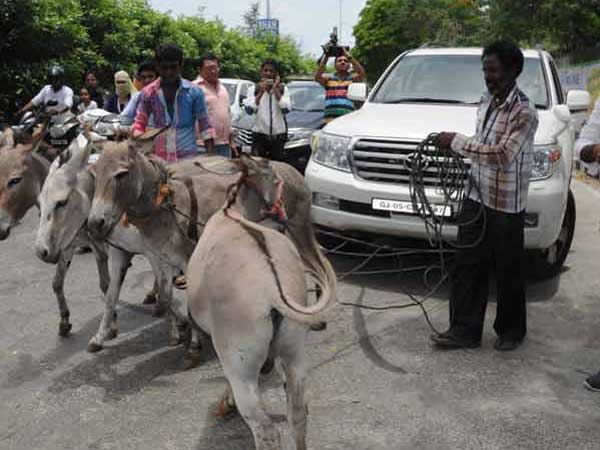 গাধার খাটুনি গাধার খাটুনি