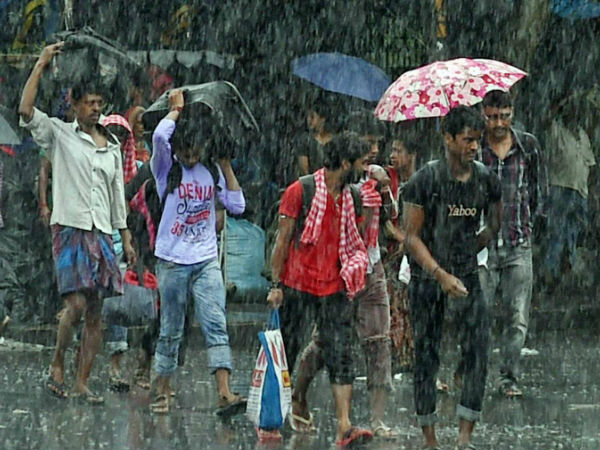 কলকাতার জলছবি কলকাতার জলছবি