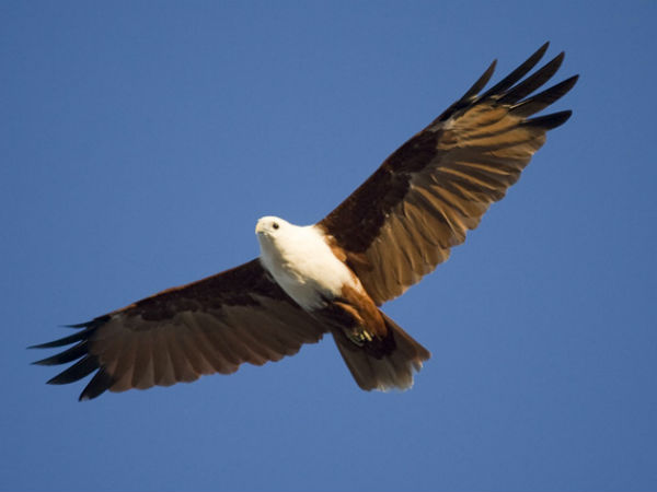 মন্দিরের উপর