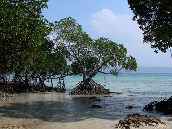 হ্যাভলক দ্বীপ হ্যাভলক দ্বীপ