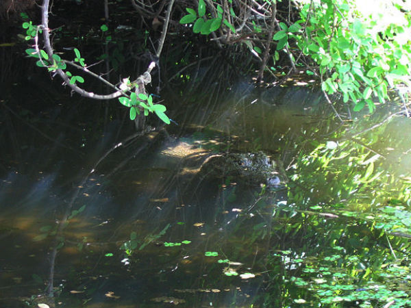 অনন্তপুরা লেক টেম্পল অনন্তপুরা লেক টেম্পল