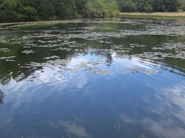 বেরিজাম লেক, কোড়াইকানাল