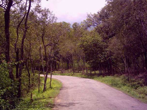 মারায়ুর