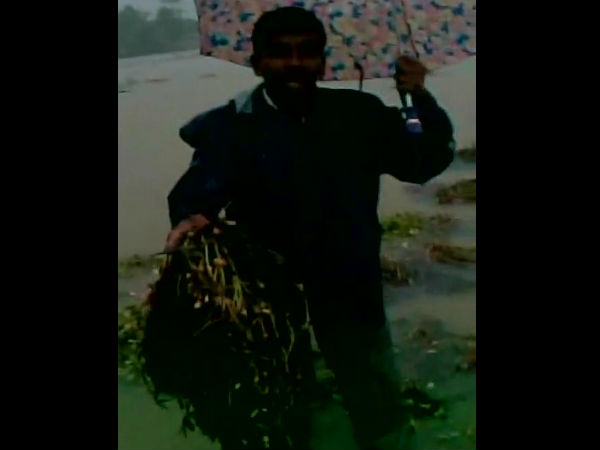 ফসলের ক্ষতি ফসলের ক্ষতি