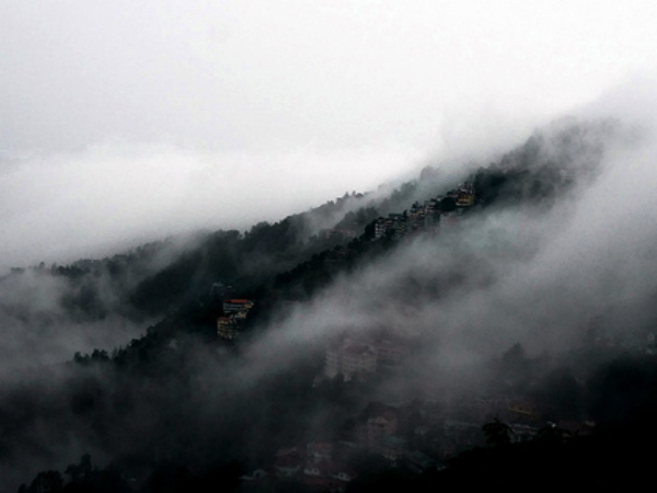 সিমলা সিমলা