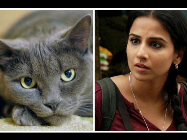 বিদ্যা বালন বিদ্যা বালন