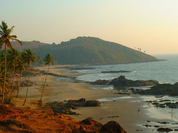 গোয়া