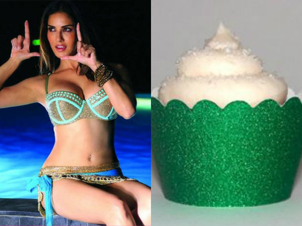 মোহময়ী সানি