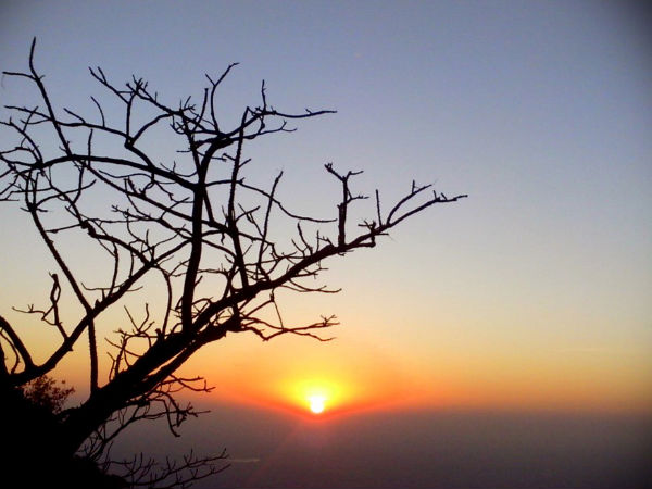 মাউন্ট আবু