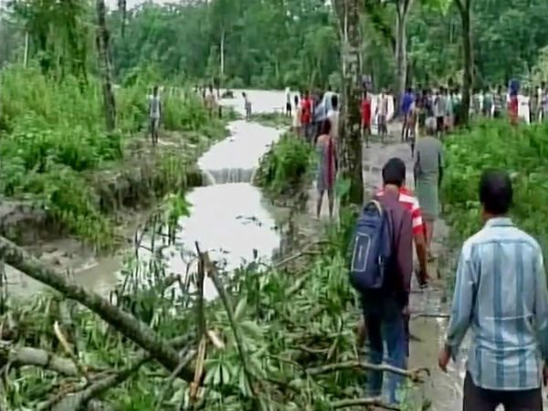 ক্ষতির মুখে চা বাগান ক্ষতির মুখে চা বাগান