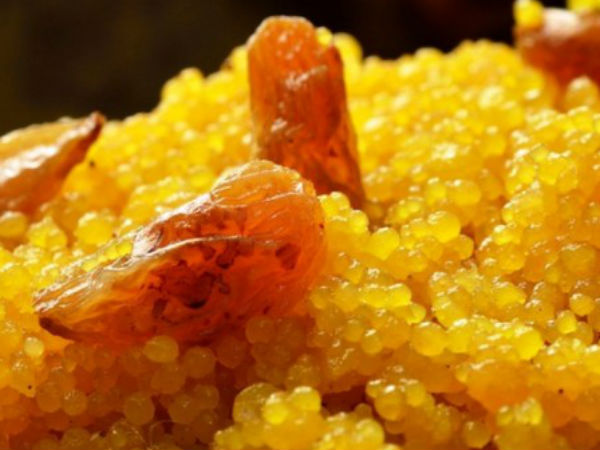 বাংলা Vs ওড়িশা : 'রসগোল্লা' বাংলারই এখনও প্রমাণ করতে পারেনি রাজ্য!