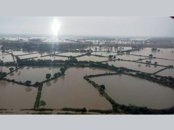 গুলবার্গে বন্যা পরিস্থিতি