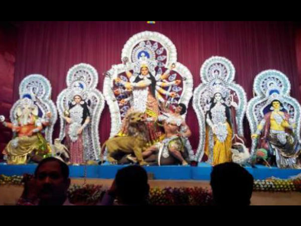 একডালিয়া এভারগ্রিন একডালিয়া এভারগ্রিন