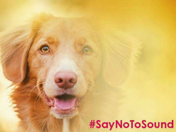 আপনি কী বলছেন?