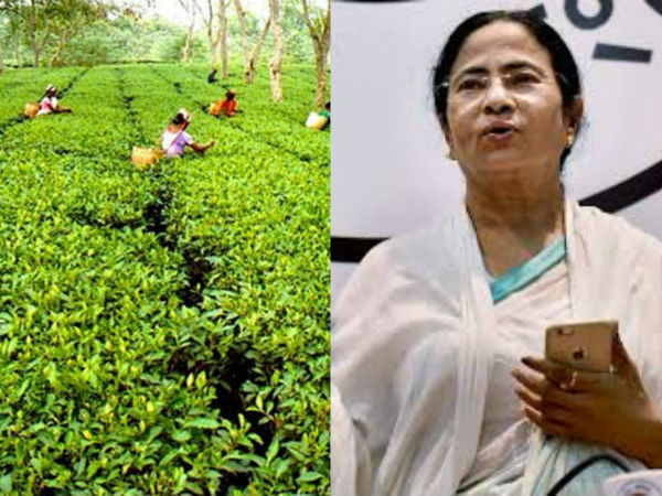 বোনাসের দাবিতে মান্যতা